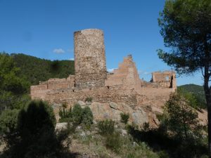 Read more about the article Excursió a Aín, al Parc Natural de la Serra d’Espadà, amb Visita al Castell 2 de març dissabte