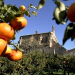 L’ENTITAT SIQUEM, DE BORRIANA, AJUDA LA UNIÓ MUSICAL AMB 750€ PER LA RECAPTACIÓ DELS CONCERTS EN QUÈ PARTICIPÀREM “COR EL DANSA”