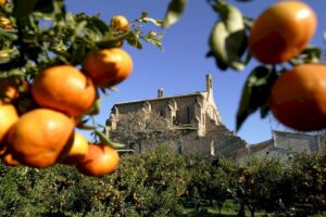 Read more about the article L’ENTITAT SIQUEM, DE BORRIANA, AJUDA LA UNIÓ MUSICAL AMB 750€ PER LA RECAPTACIÓ DELS CONCERTS EN QUÈ PARTICIPÀREM “COR EL DANSA”