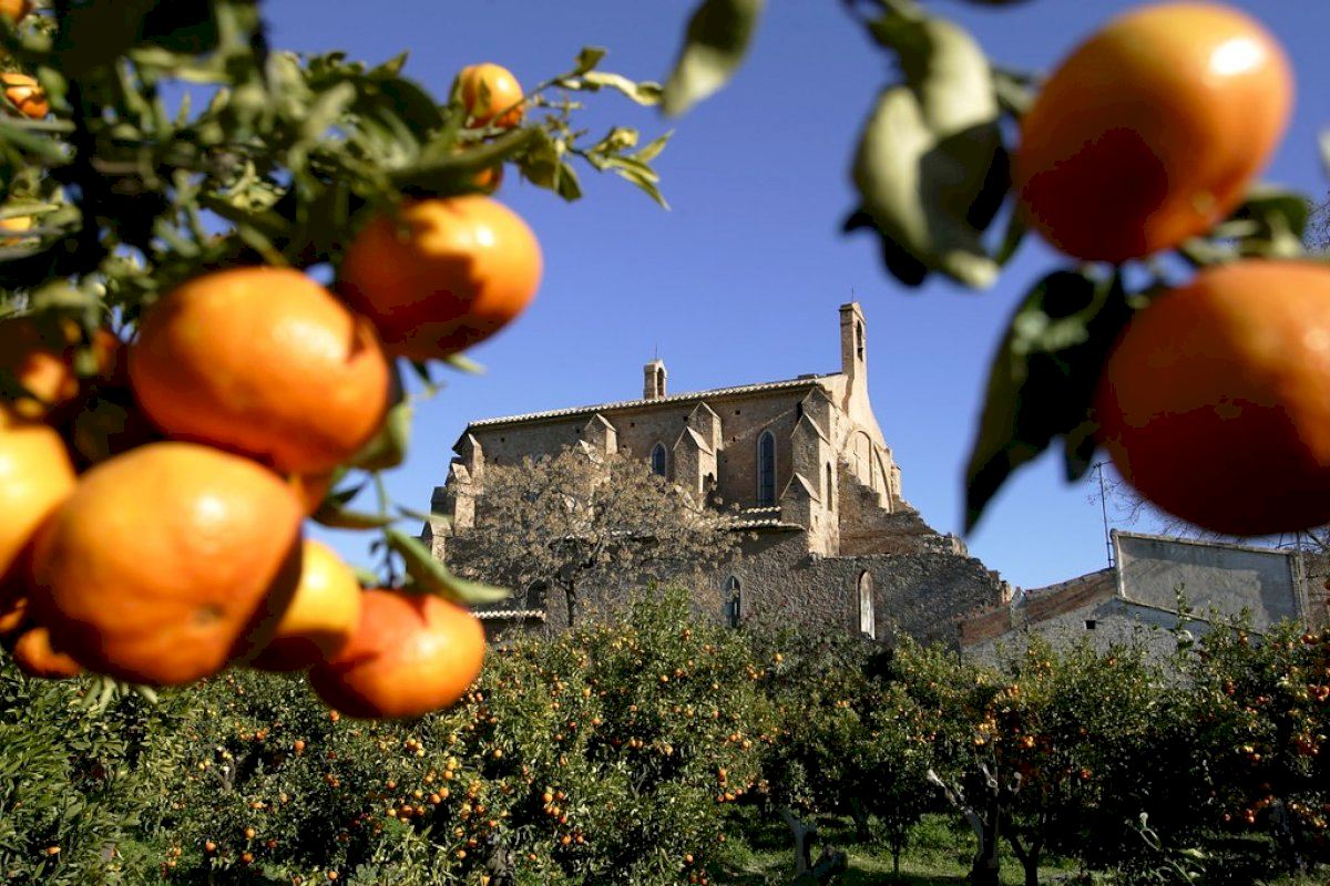 Read more about the article L’ENTITAT SIQUEM, DE BORRIANA, AJUDA LA UNIÓ MUSICAL AMB 750€ PER LA RECAPTACIÓ DELS CONCERTS EN QUÈ PARTICIPÀREM “COR EL DANSA”